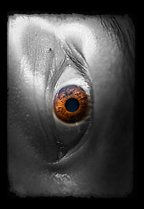 I saw you looking at my page, so leave me a little comment if you like. 

ALOHAS